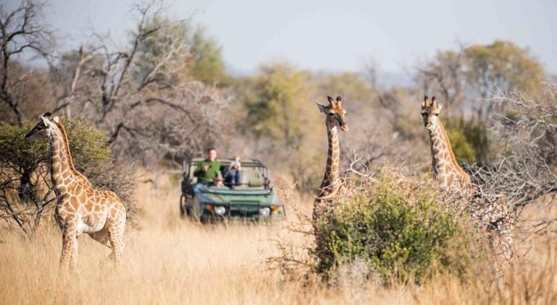 Mziki Safari Lodge Beestekraal  Екстер'єр фото