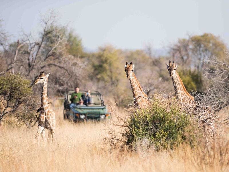 Mziki Safari Lodge Beestekraal  Екстер'єр фото